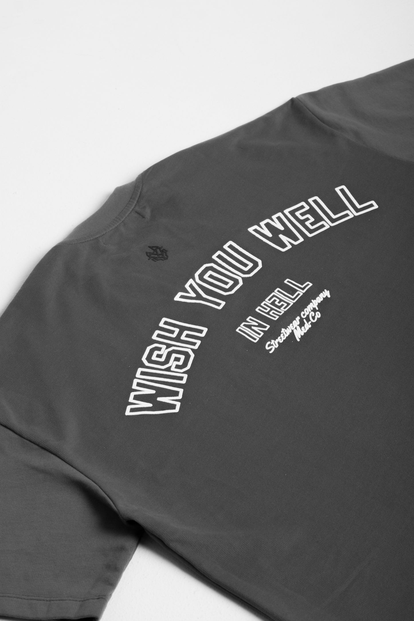 WISH YOU WELL T-shirt Gray